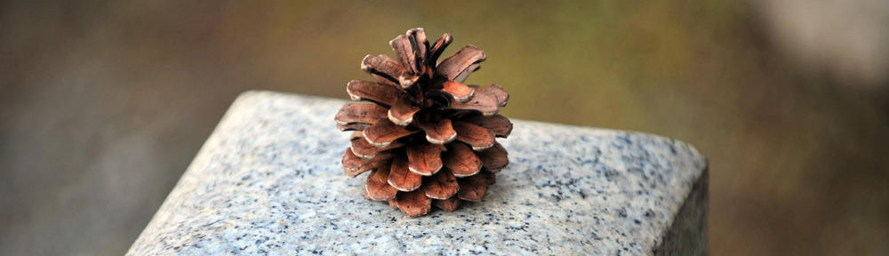 테스트입니다.